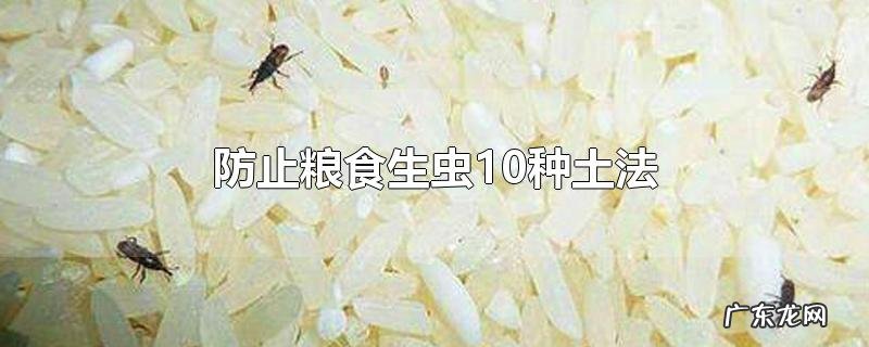 防止粮食生虫10种土法