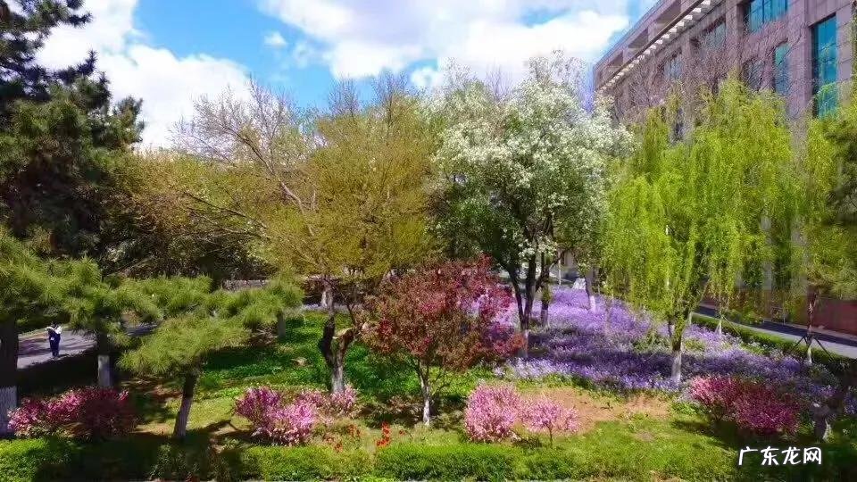 辽宁省实验中学校长 辽宁省实验中学百度贴吧