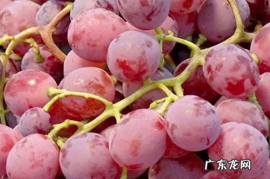 吃红提会发胖吗