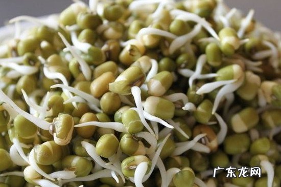 奶锅可以做什么