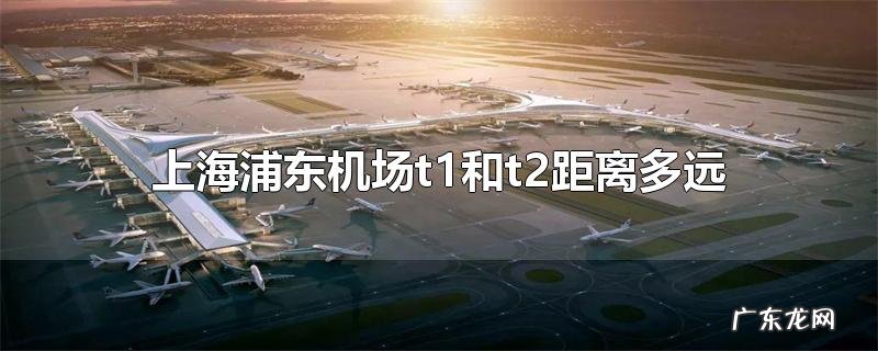 上海浦东机场t1和t2距离多远
