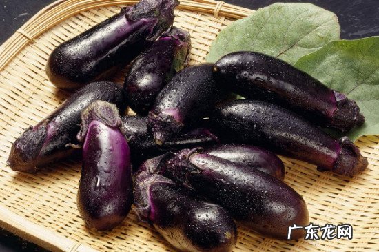 平菇和茄子能一起吃吗