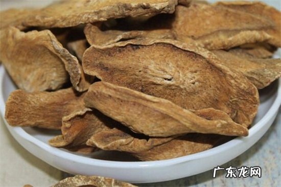牛蒡根的功效与作用及食用方法