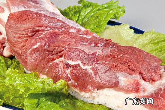 什么人不宜吃野猪肉