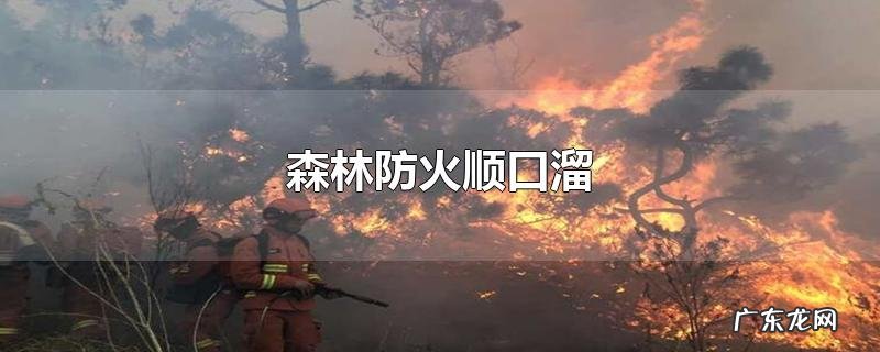 森林防火顺口溜