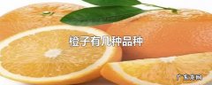 橙子有几种品种