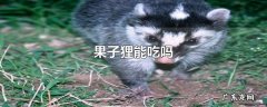 果子狸能吃吗