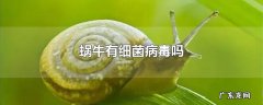 蜗牛有细菌病毒吗
