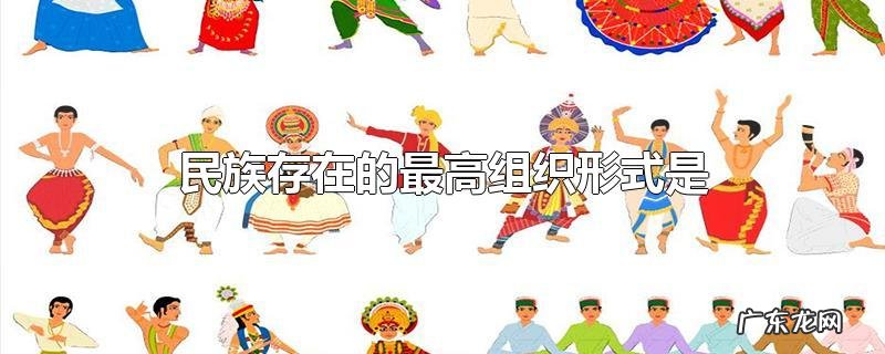 民族存在的最高组织形式是