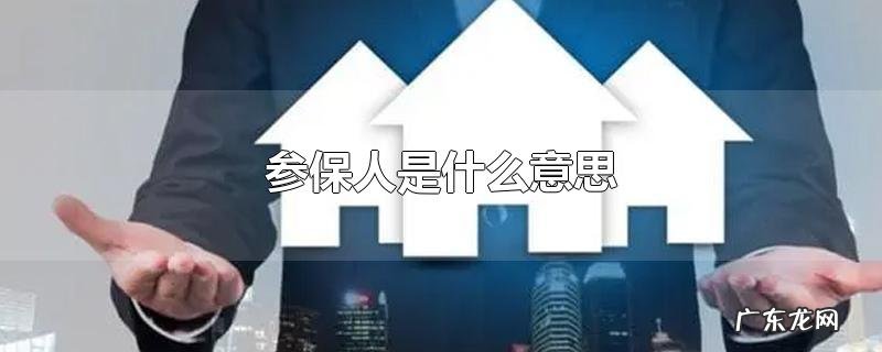 参保人是什么意思