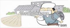 防疫的措施和做法