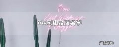 ins风甜品店名字