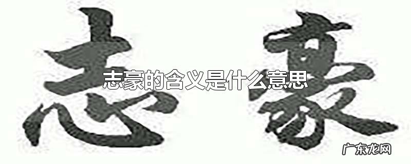 志豪的含义是什么意思