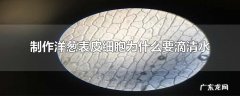 制作洋葱表皮细胞为什么要滴清水