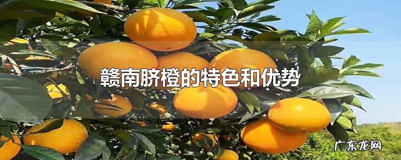 赣南脐橙的特色和优势