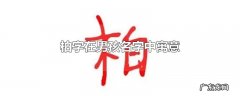 柏字在男孩名字中寓意