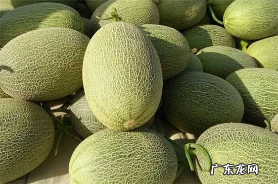 哈密瓜蒸着吃的好处