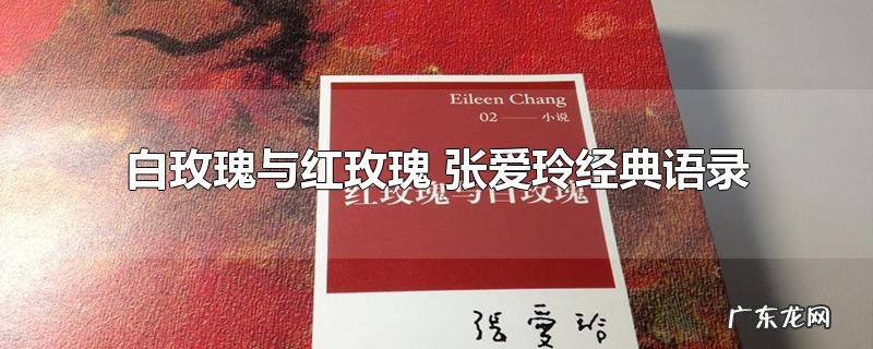 白玫瑰与红玫瑰 张爱玲经典语录