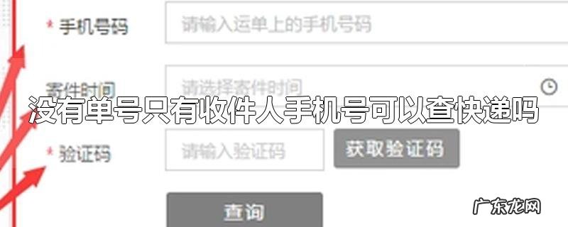 没有单号只有收件人手机号可以查快递吗