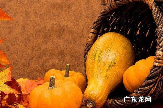 南瓜和梨能一起吃吗