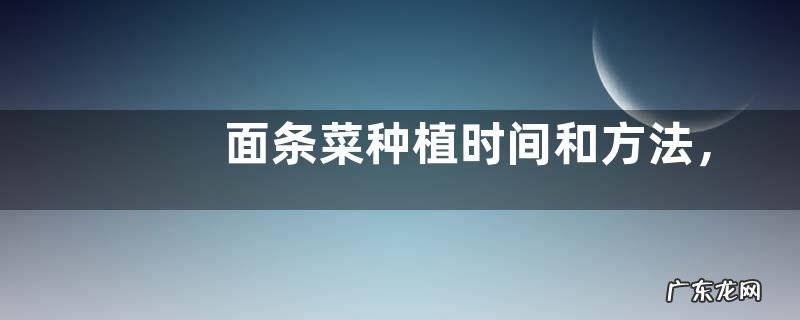 面条菜种植时间和方法，春季秋季均可露地种植