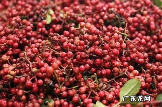 花椒为什么会变黑