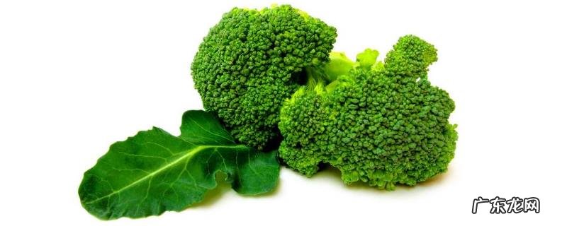 西兰花种植时间和方法，及时做好遮阳工作