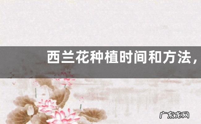 西兰花种植时间和方法，及时做好遮阳工作