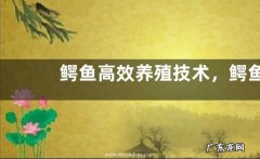 鳄鱼高效养殖技术，鳄鱼的养殖前景