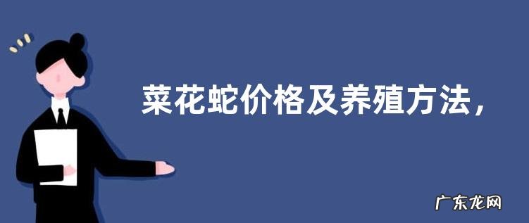 菜花蛇价格及养殖方法,附生活习性