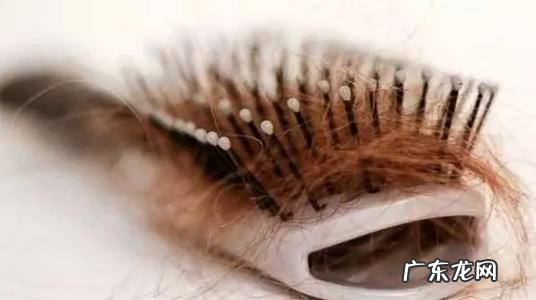 “秃”然来袭,该如何自救?