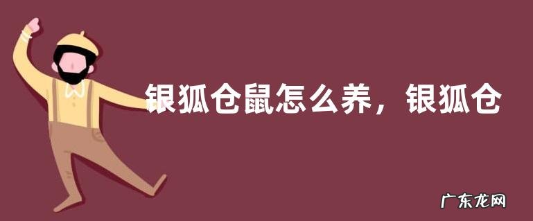 银狐仓鼠怎么养,银狐仓鼠的饲养环境