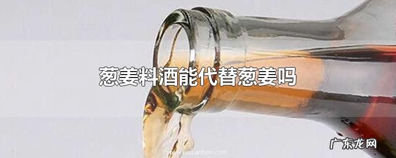 葱姜料酒能代替葱姜吗