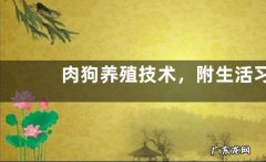 肉狗养殖技术，附生活习性及肉狗养殖的前期准备