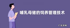哺乳母猪的饲养管理技术，附营养需要及哺乳母猪的泌乳量和影响因素