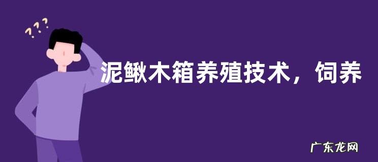 泥鳅木箱养殖技术，饲养管理