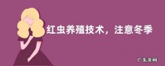 红虫养殖技术，注意冬季要防冻
