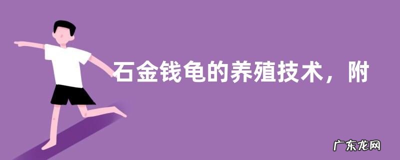 石金钱龟的养殖技术，附生长习性及疾病预防措施
