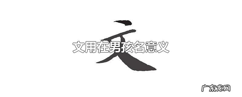 文用在男孩名意义