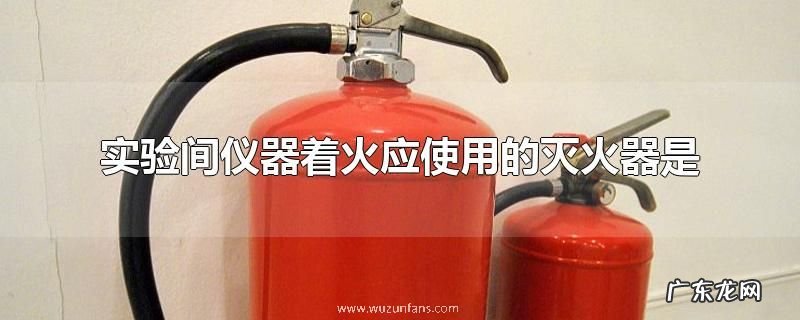 实验间仪器着火应使用的灭火器是