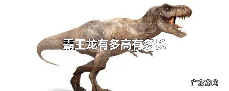 霸王龙有多高有多长