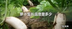 萝卜生长温度是多少