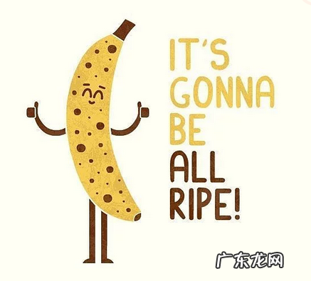 丁丁都有哪些形状