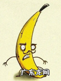 丁丁都有哪些形状