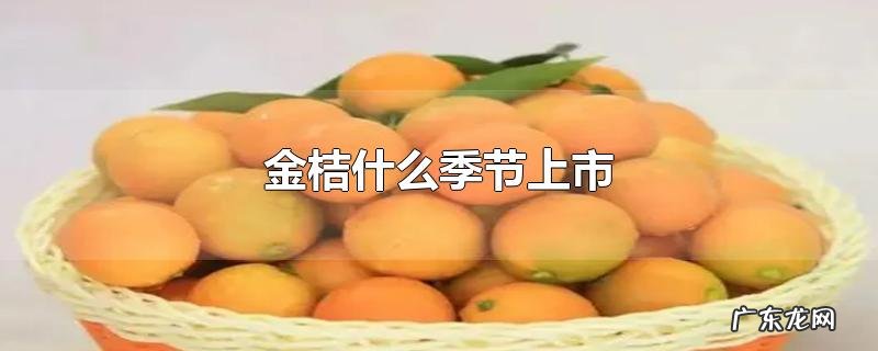 金桔什么季节上市