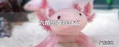 六角恐龙吃什么