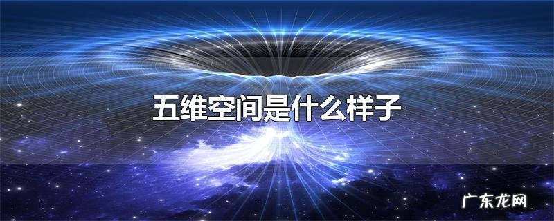 五维空间是什么样子