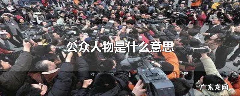 公众人物是什么意思
