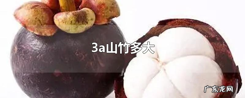 3a山竹多大