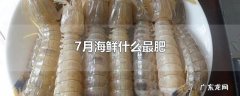 7月海鲜什么最肥